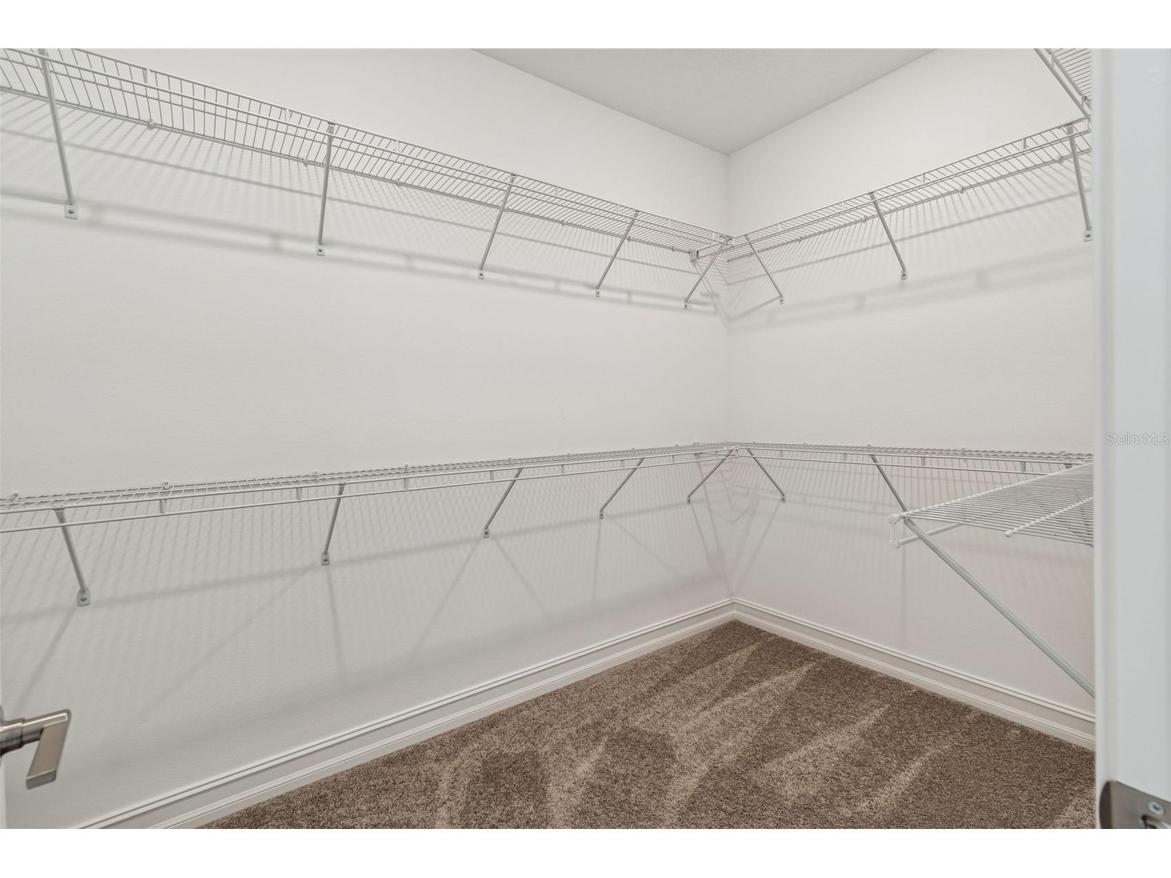 29868 Picana Lane Wesley Chapel FL 33543 TB8422998 image36