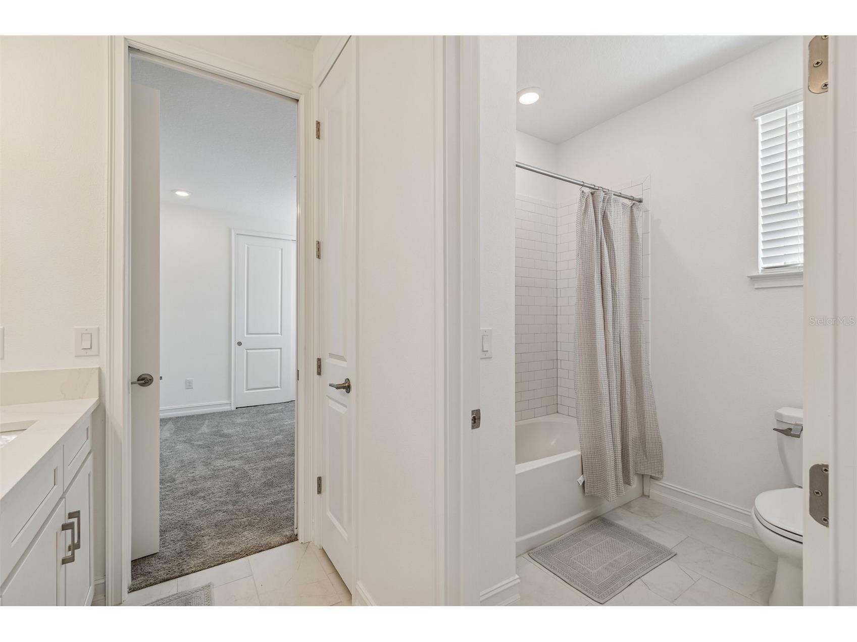 29868 Picana Lane Wesley Chapel FL 33543 TB8422998 image41