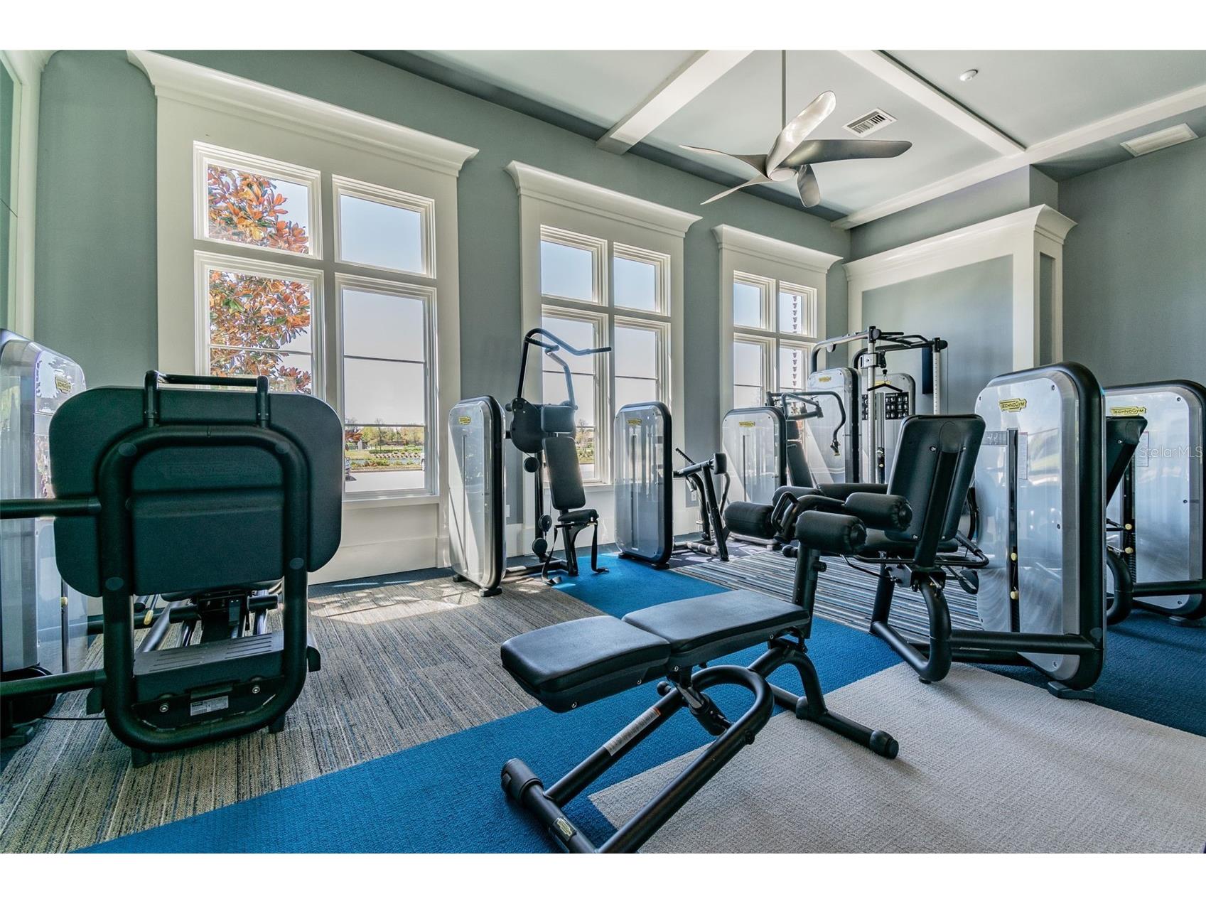 29868 Picana Lane Wesley Chapel FL 33543 TB8422998 image48