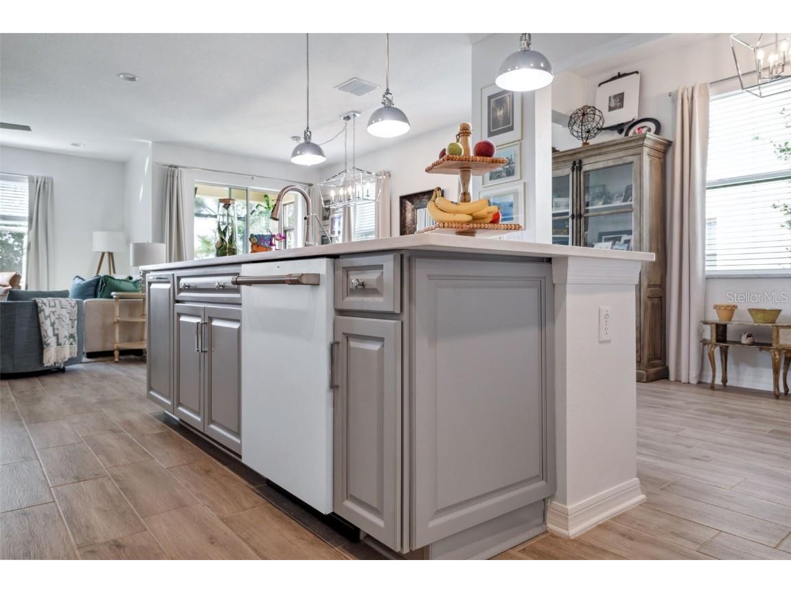 29869 Southwell Lane Wesley Chapel FL 33543 TB8430677 image11