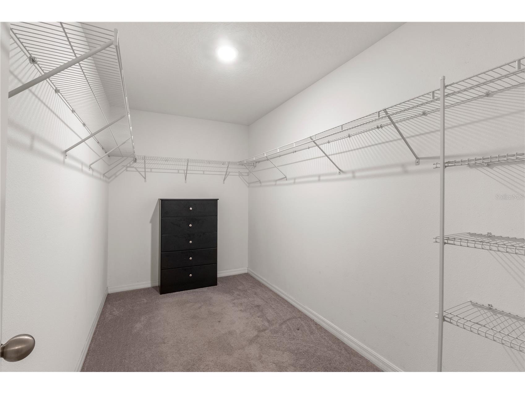 2987 Moulden Hollow Drive Zephyrhills FL 33540 TB8523795 image18