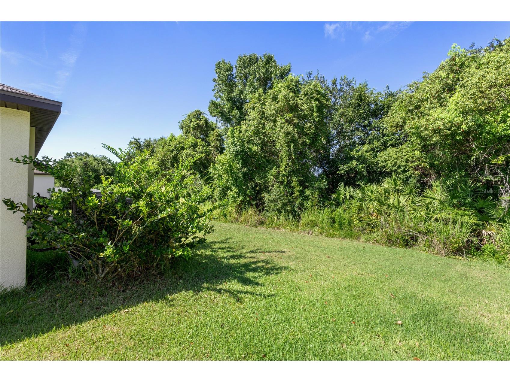 2987 Moulden Hollow Drive Zephyrhills FL 33540 TB8523795 image26