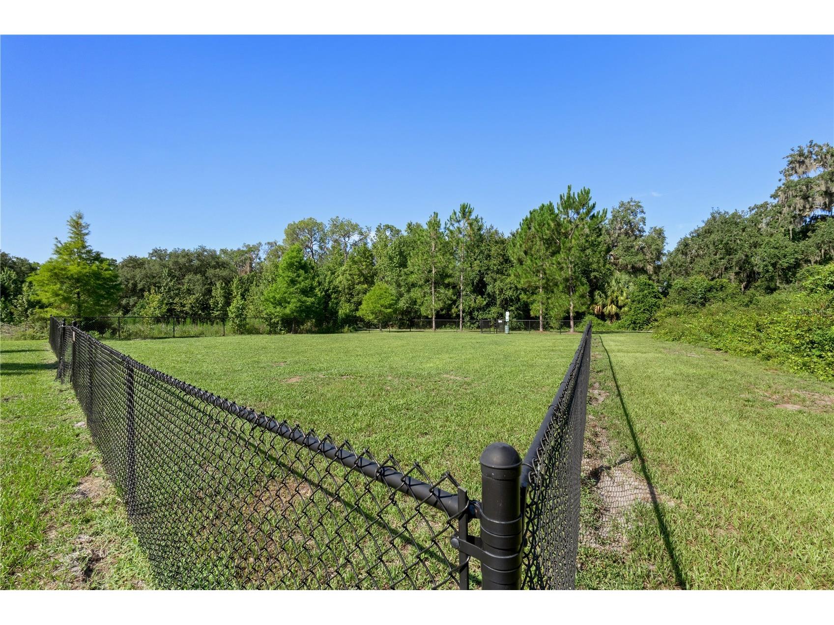 2987 Moulden Hollow Drive Zephyrhills FL 33540 TB8523795 image27