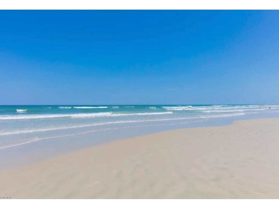 2987 S Atlantic Avenue #1105 Daytona Beach FL 32118 - DAYTONA BEACH O6338379 image22
