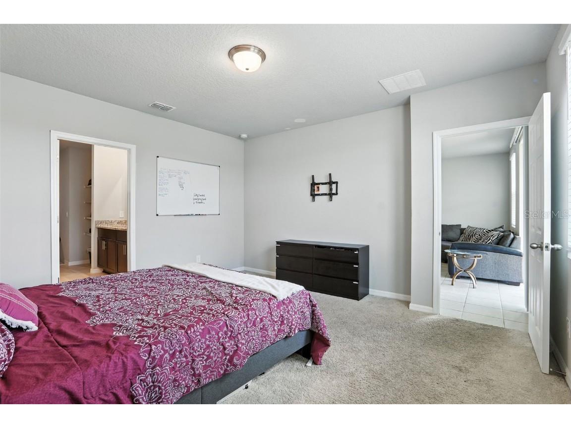 29875 Anahid Drive Leesburg FL 34748 O6335485 image15