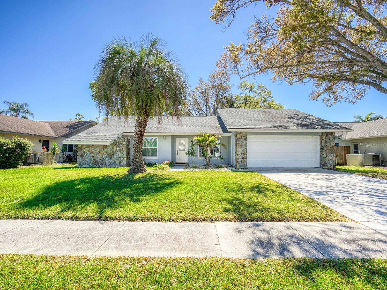 2988 Pinewood Run Palm Harbor FL 34684 TB8491395 image1