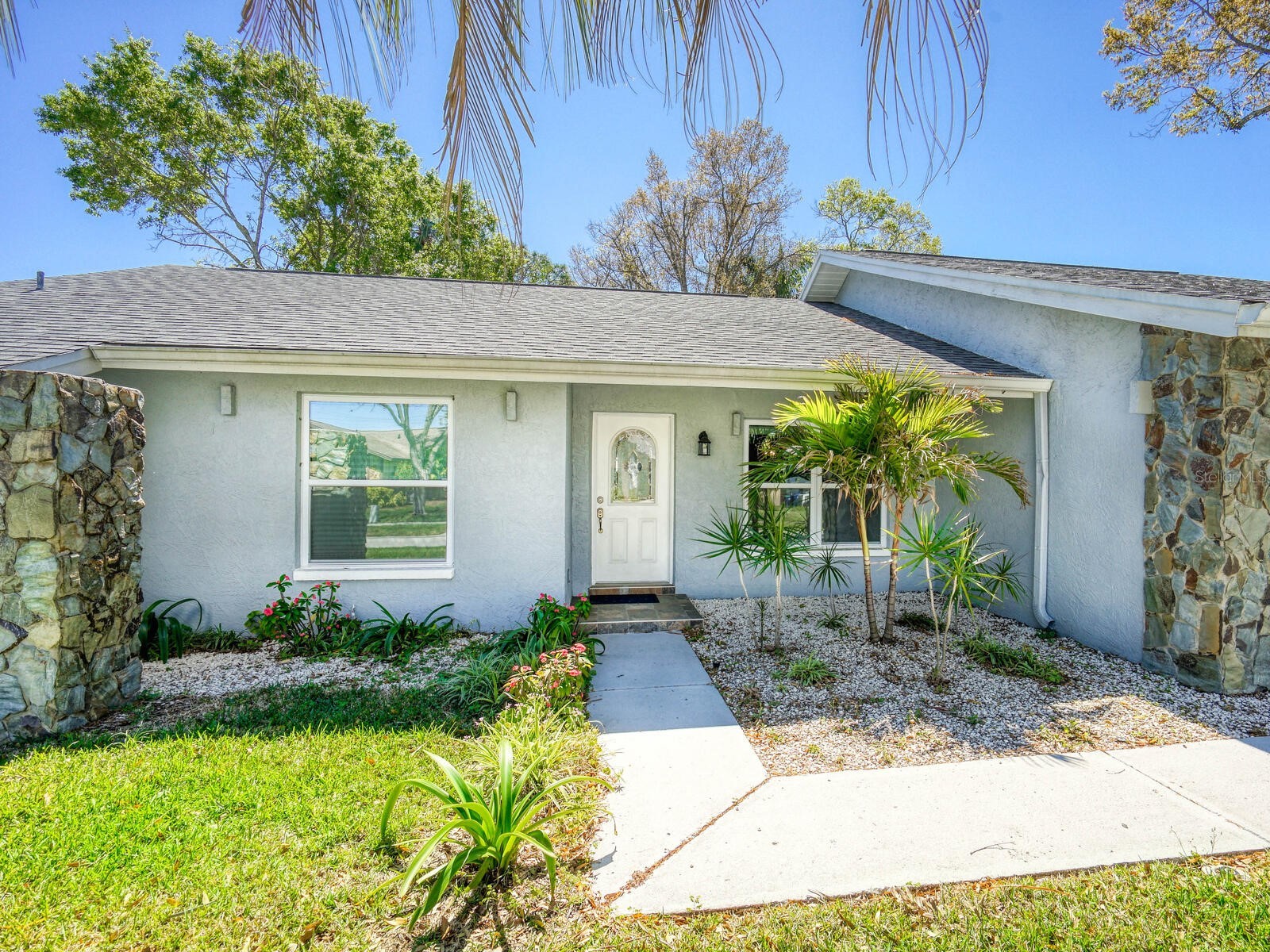2988 Pinewood Run Palm Harbor FL 34684 TB8491395 image2