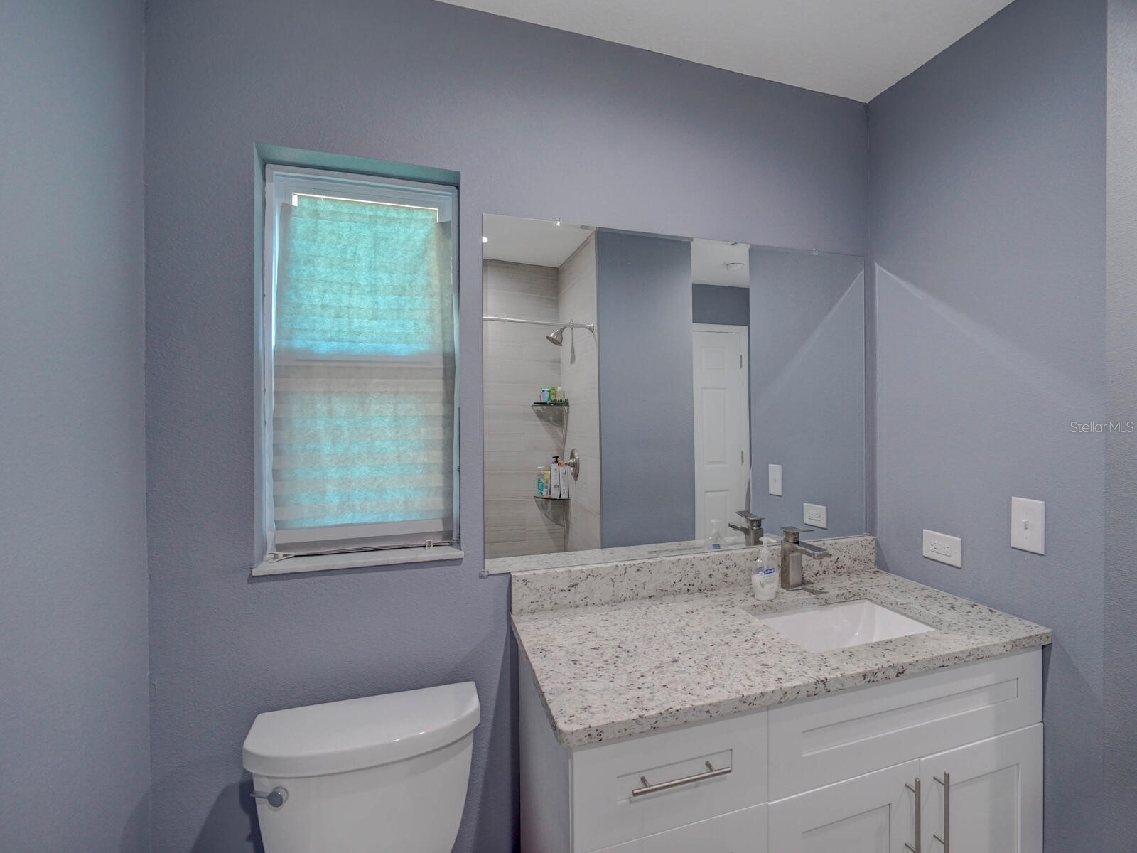 2988 Pinewood Run Palm Harbor FL 34684 TB8491395 image21
