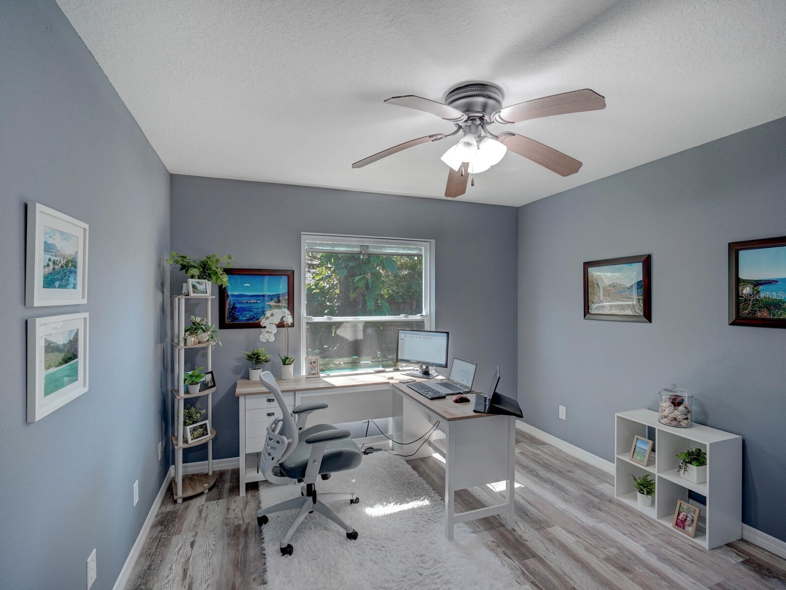 2988 Pinewood Run Palm Harbor FL 34684 TB8491395 image24