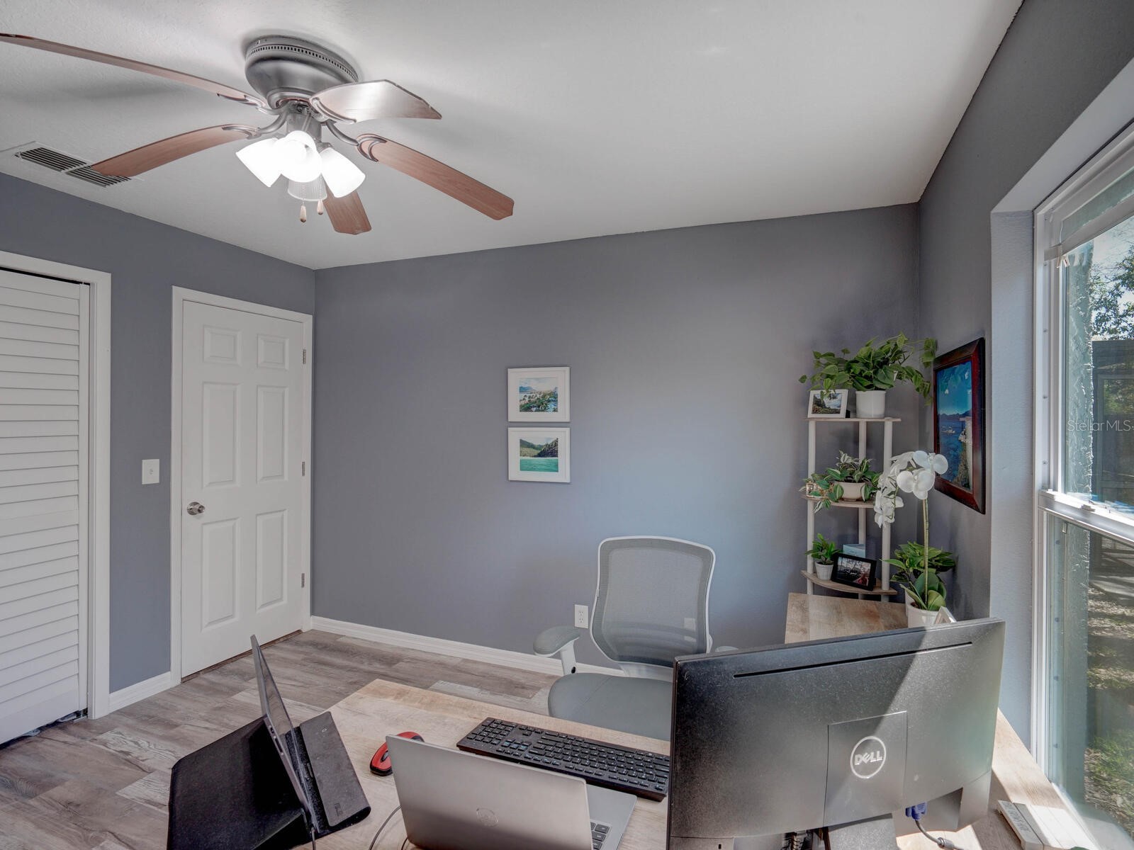 2988 Pinewood Run Palm Harbor FL 34684 TB8491395 image25