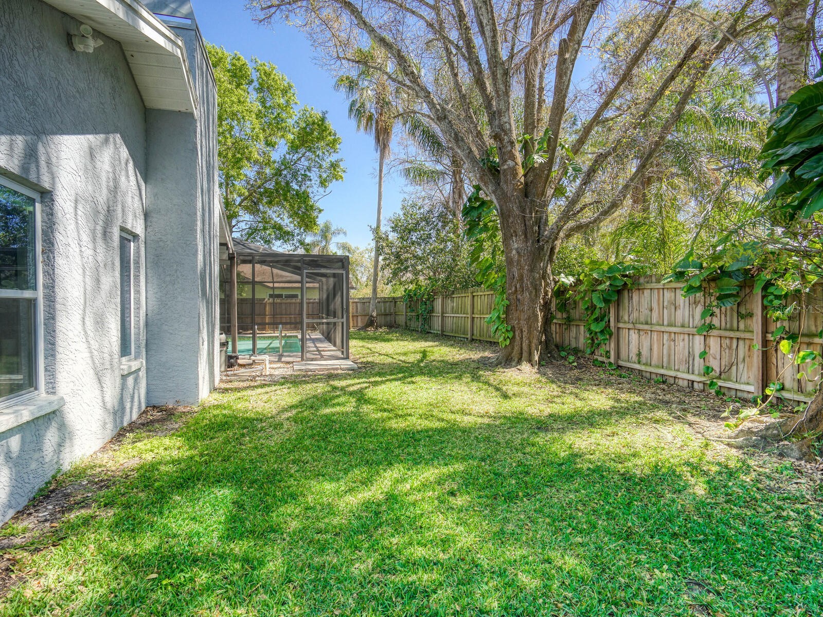 2988 Pinewood Run Palm Harbor FL 34684 TB8491395 image35