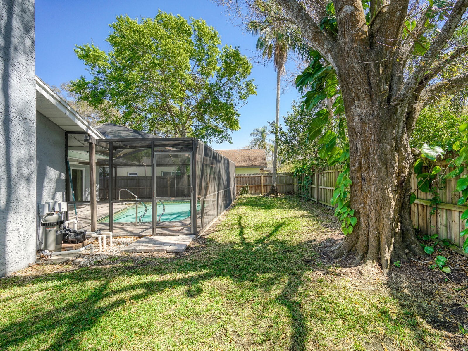 2988 Pinewood Run Palm Harbor FL 34684 TB8491395 image36