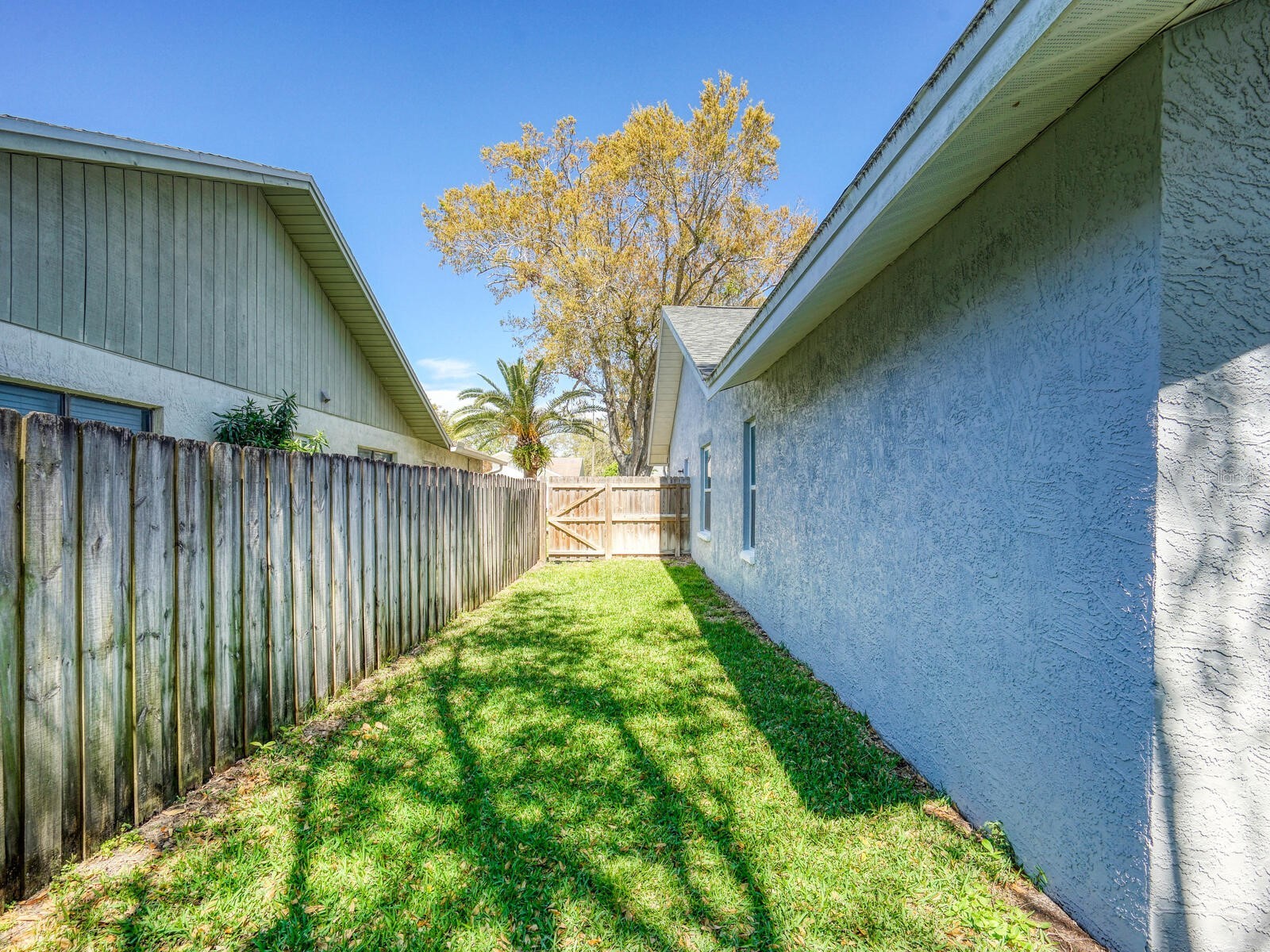 2988 Pinewood Run Palm Harbor FL 34684 TB8491395 image37