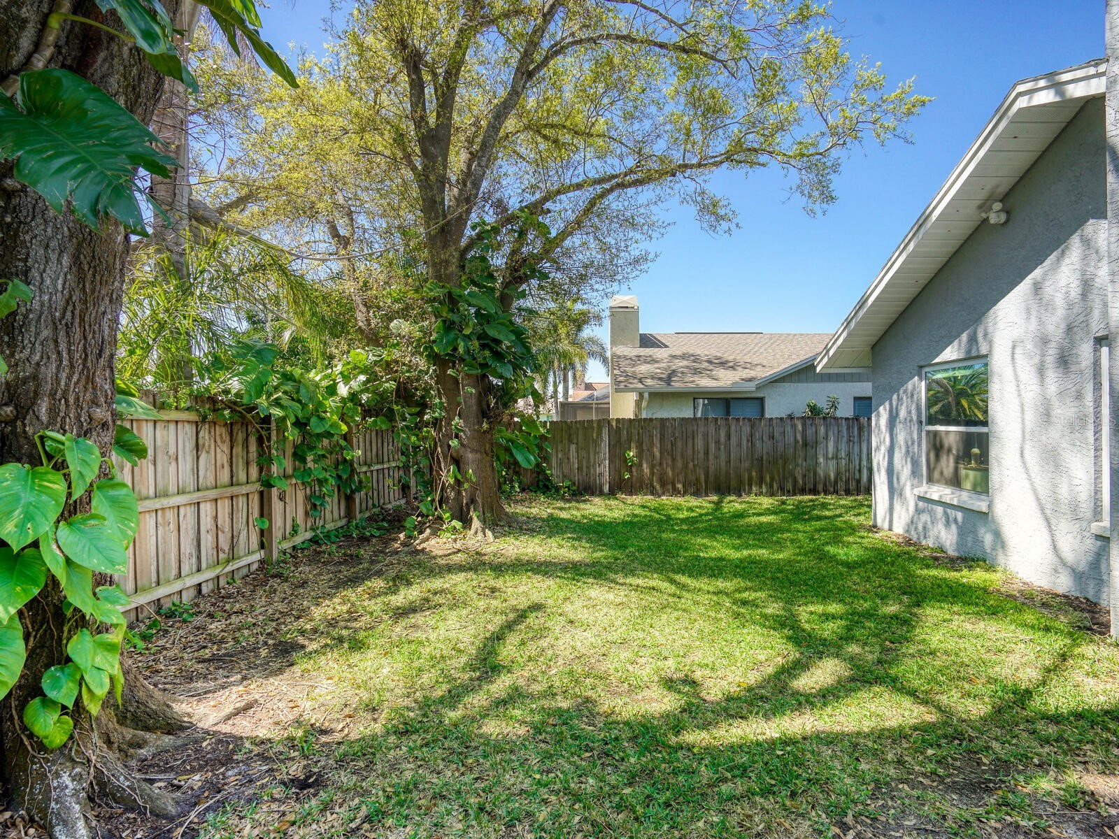2988 Pinewood Run Palm Harbor FL 34684 TB8491395 image38