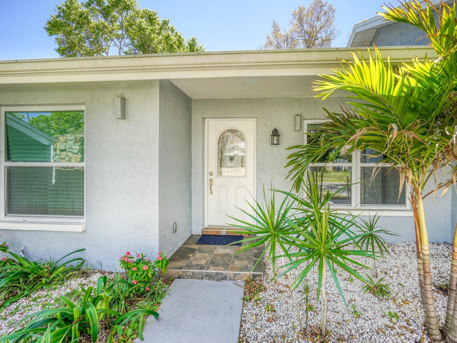 2988 Pinewood Run Palm Harbor FL 34684 TB8491395 image41