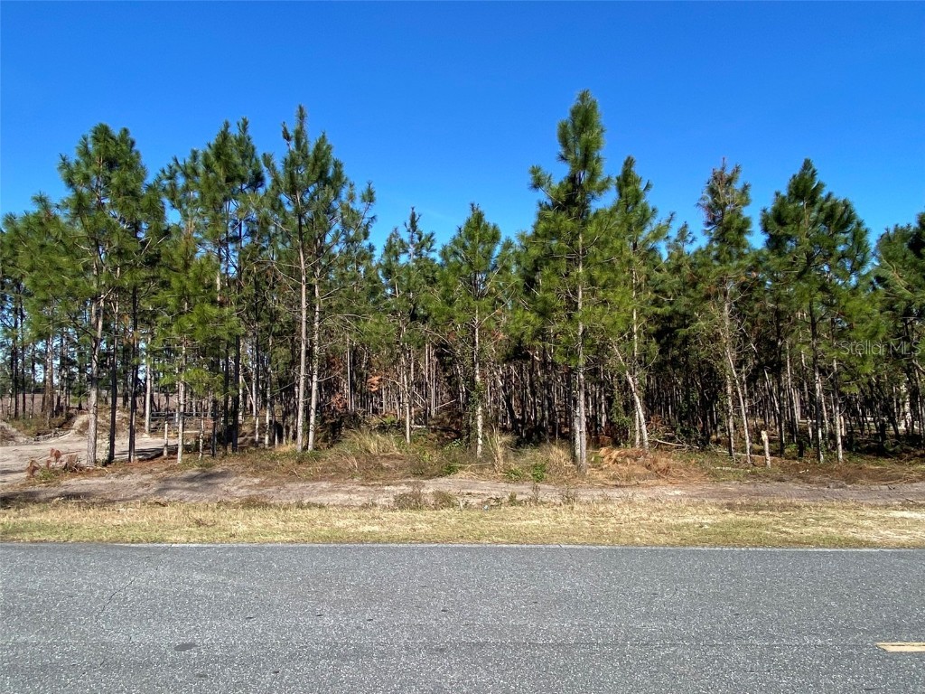 2988 SW Cr 534 Mayo FL 32066 R4907442 image1