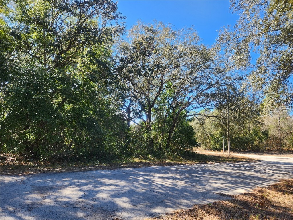 2988 W Sun Place Citrus Springs FL 34433 OM694287 image1