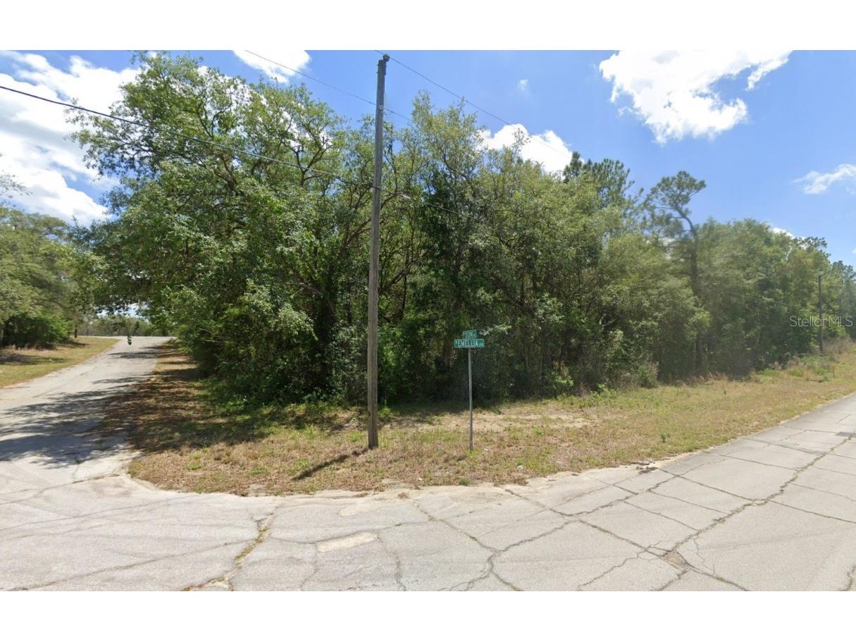 2988 W Sun Place Dunnellon FL 34433 O6365440 image1