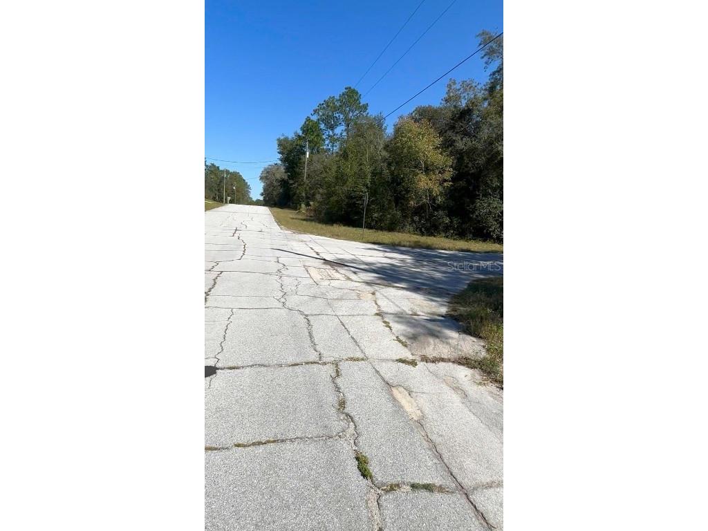 2988 W Sun Place Dunnellon FL 34433 O6365440 image4