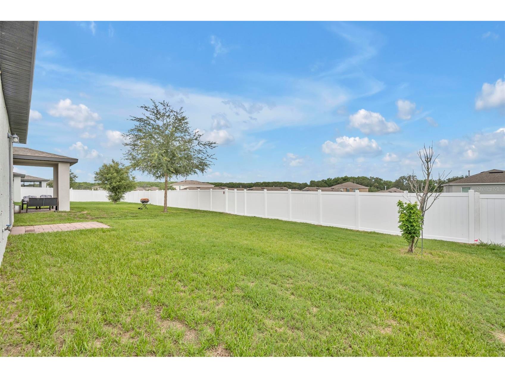 29883 Anahid Drive Leesburg FL 34748 O6413188 image14