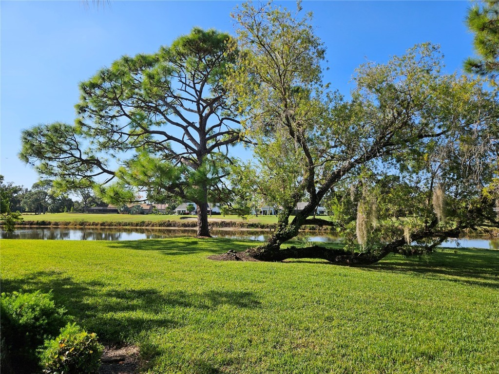 2989 Taywood Meadow #19 Sarasota FL 34235 A4672767 image27