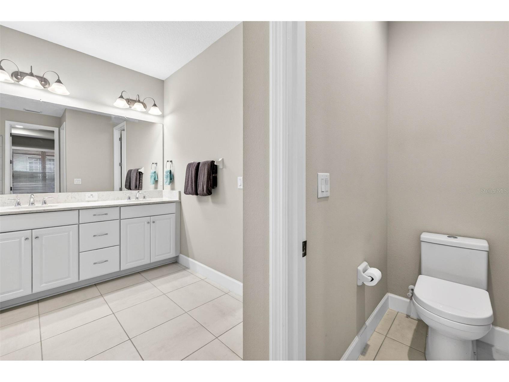 29894 Chapel Chase Drive Wesley Chapel FL 33545 TB8515481 image26
