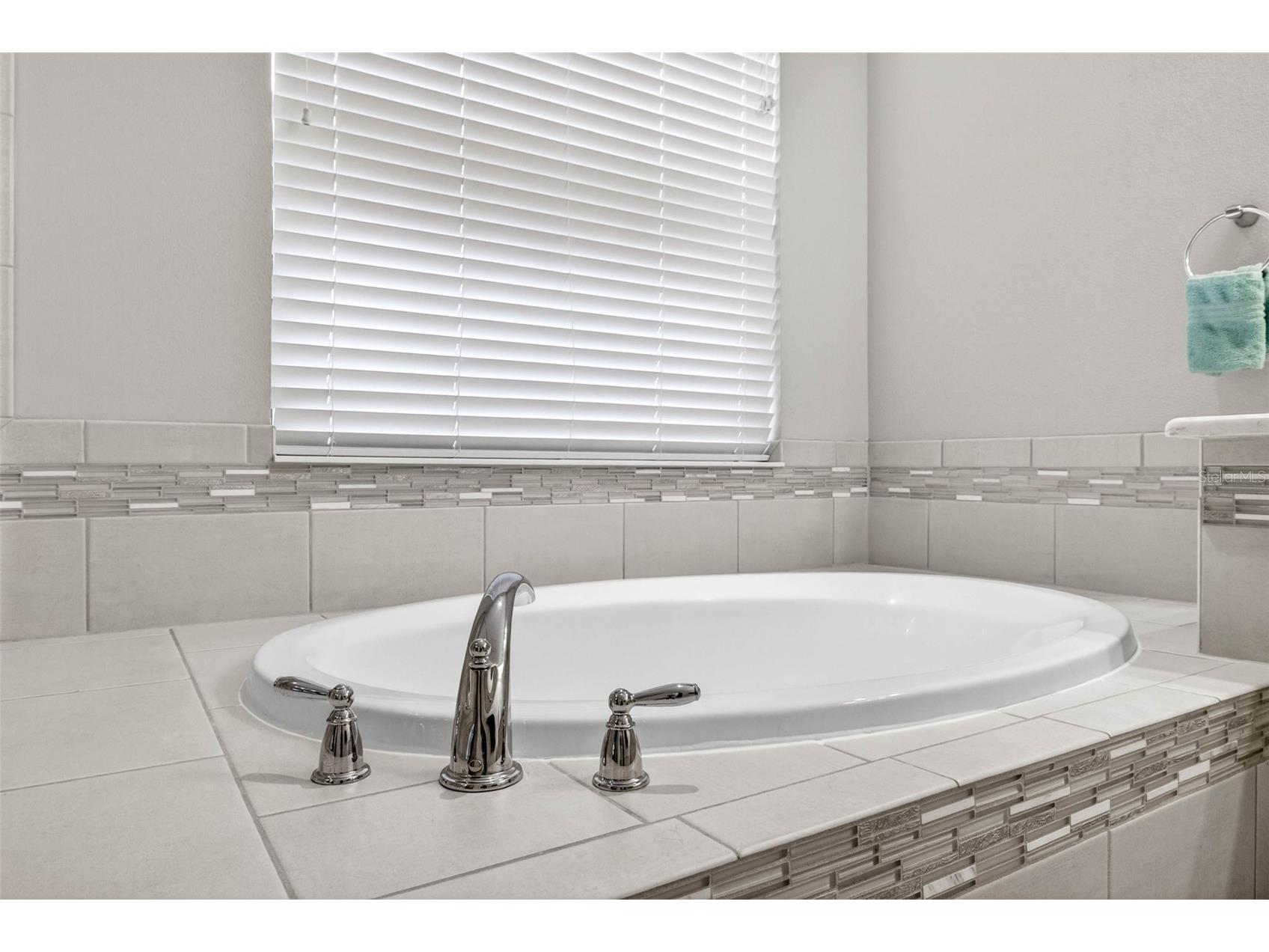 29894 Chapel Chase Drive Wesley Chapel FL 33545 TB8515481 image30