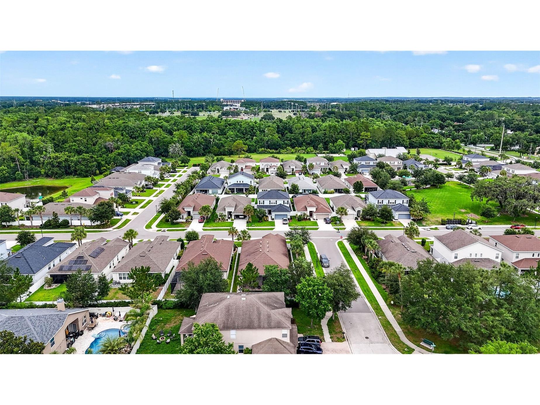 29894 Chapel Chase Drive Wesley Chapel FL 33545 TB8515481 image58
