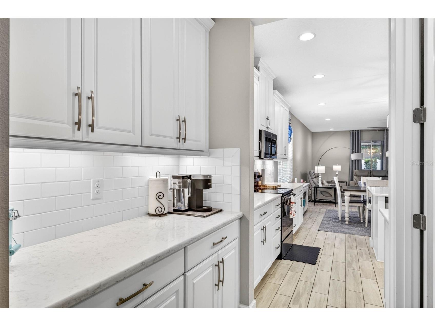 29894 Chapel Chase Drive Wesley Chapel FL 33545 TB8515481 image8