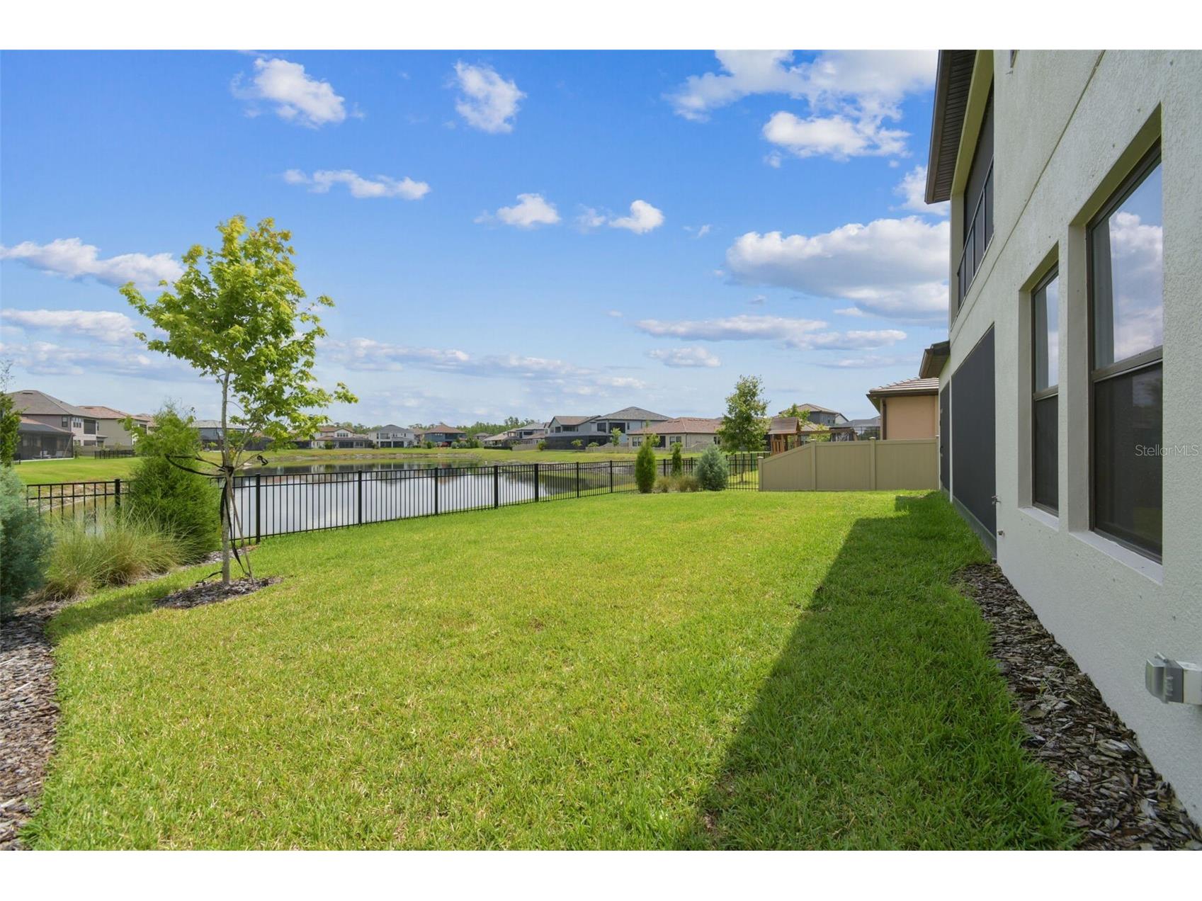 29895 Picana Lane Wesley Chapel FL 33543 TB8477174 image37