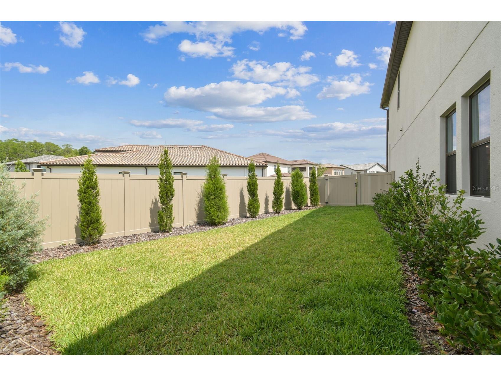 29895 Picana Lane Wesley Chapel FL 33543 TB8477174 image38