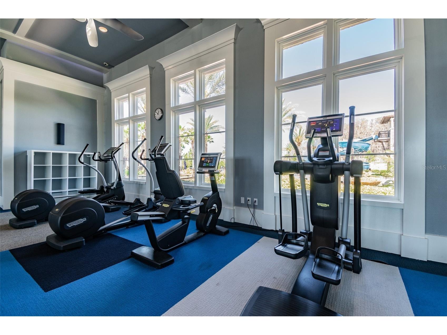 29895 Picana Lane Wesley Chapel FL 33543 TB8477174 image48