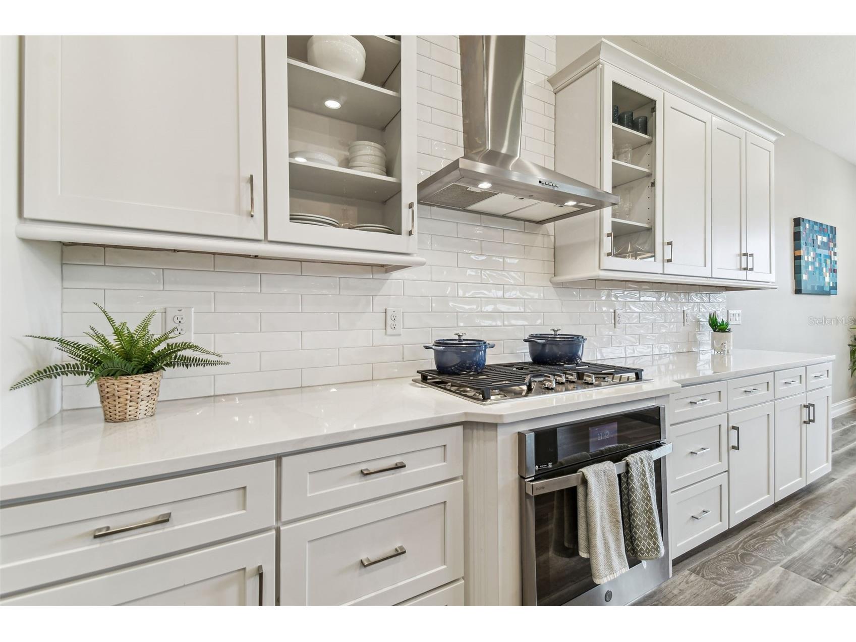 29895 Picana Lane Wesley Chapel FL 33543 TB8477174 image8