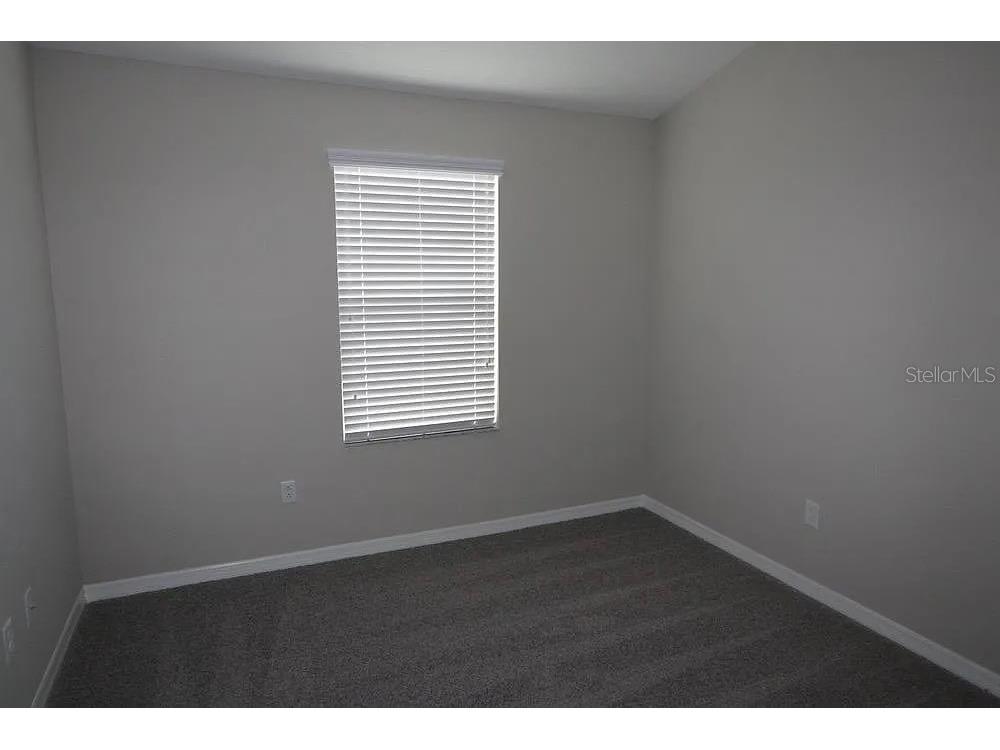 29897 Southwell Lane Wesley Chapel FL 33543 TB8529447 image14