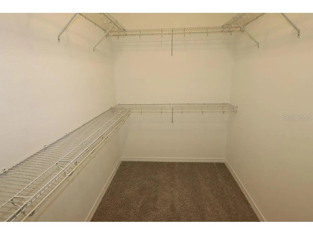29897 Southwell Lane Wesley Chapel FL 33543 TB8529447 image16