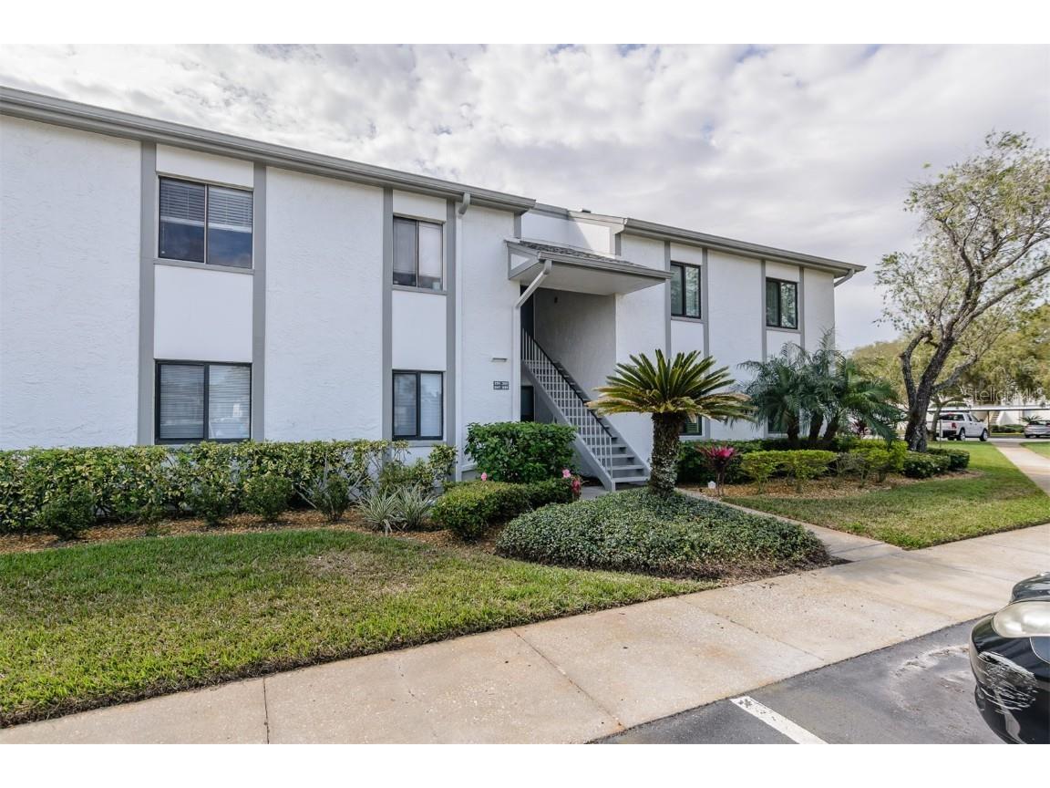 299 Cypress Lane #71 Oldsmar FL 34677 U8233582 image1