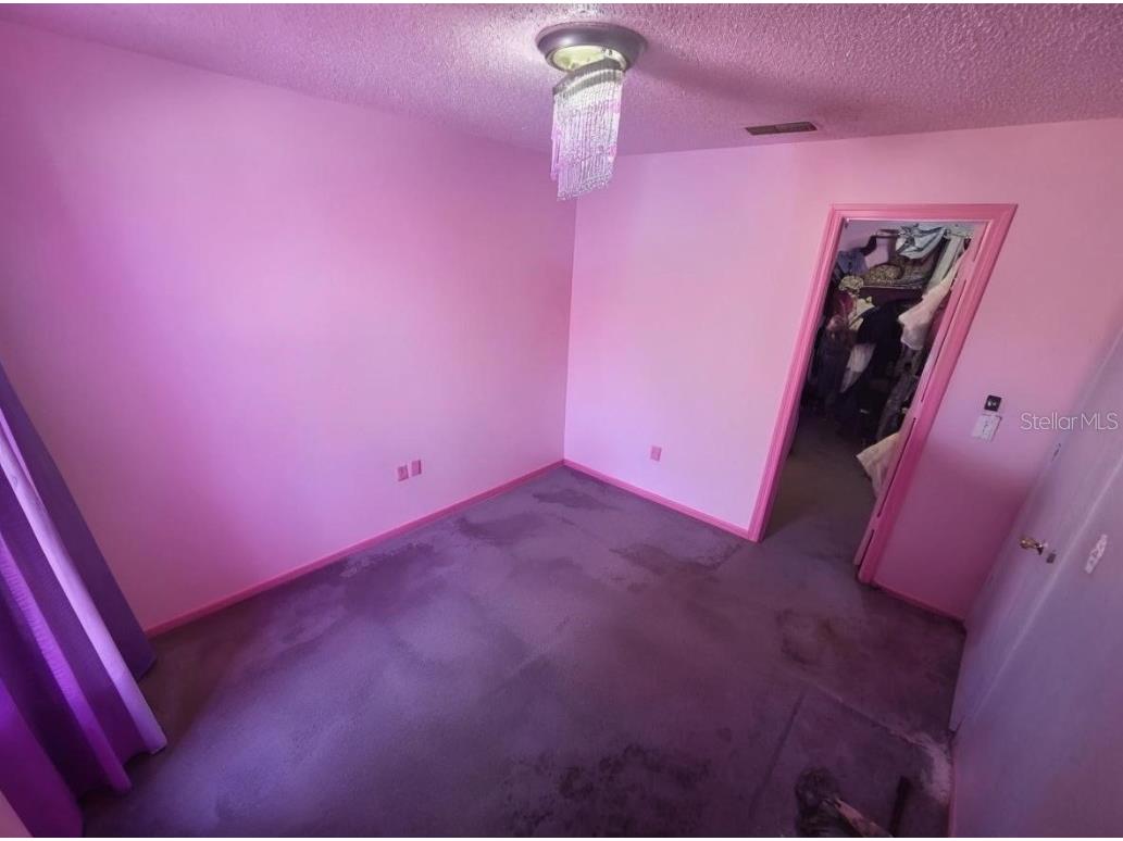 299 Indian Point Circle Kissimmee FL 34746 S5139930 image11