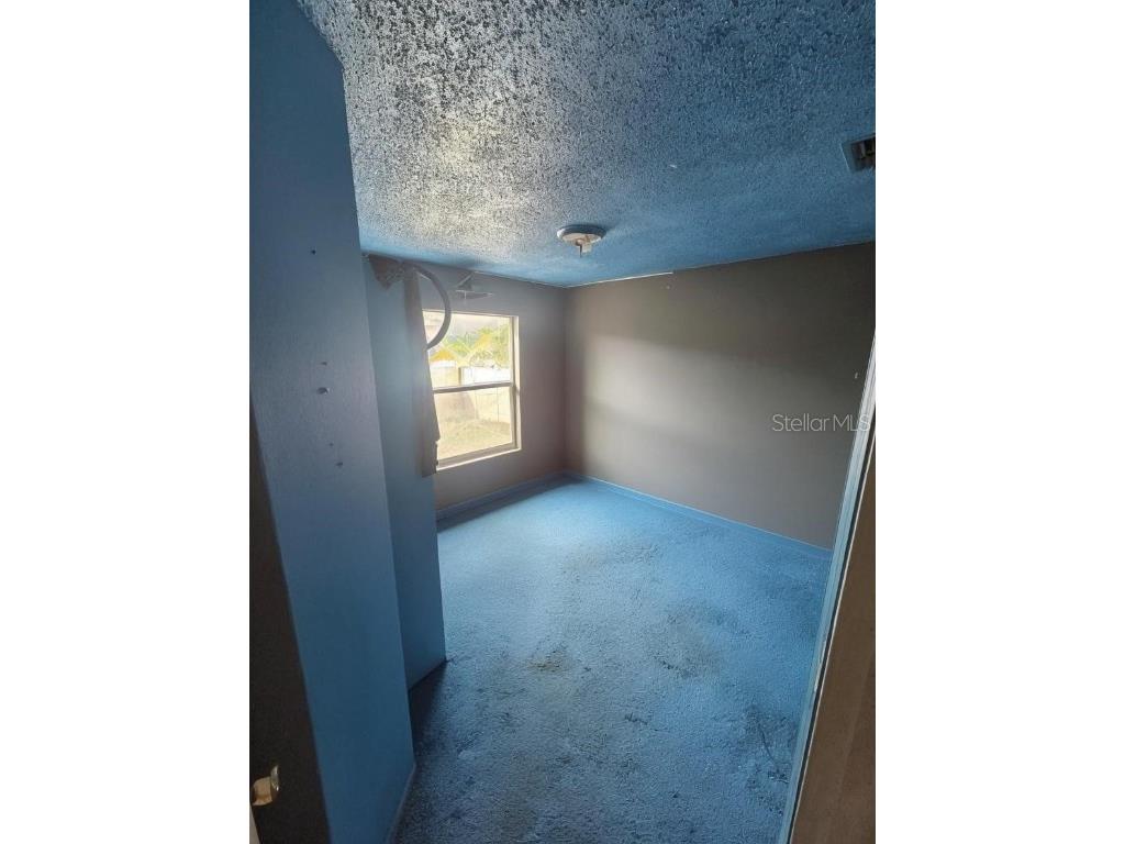 299 Indian Point Circle Kissimmee FL 34746 S5139930 image16