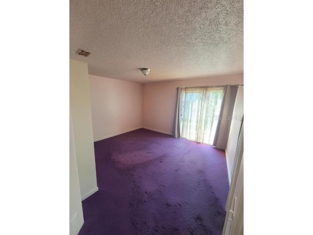 299 Indian Point Circle Kissimmee FL 34746 S5139930 image8