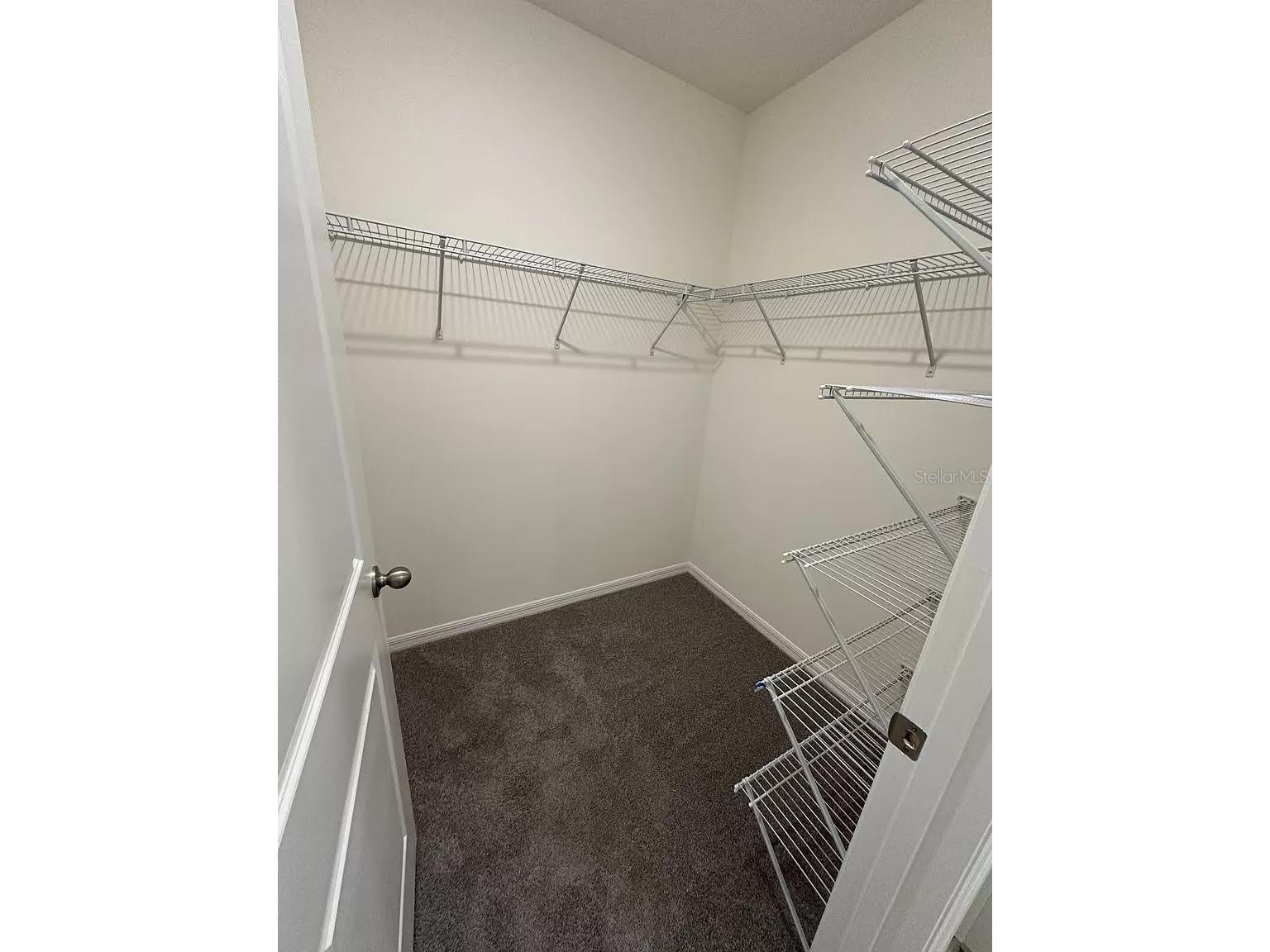 299 Mangrove Shade Circle Apollo Beach FL 33572 TB8488602 image25