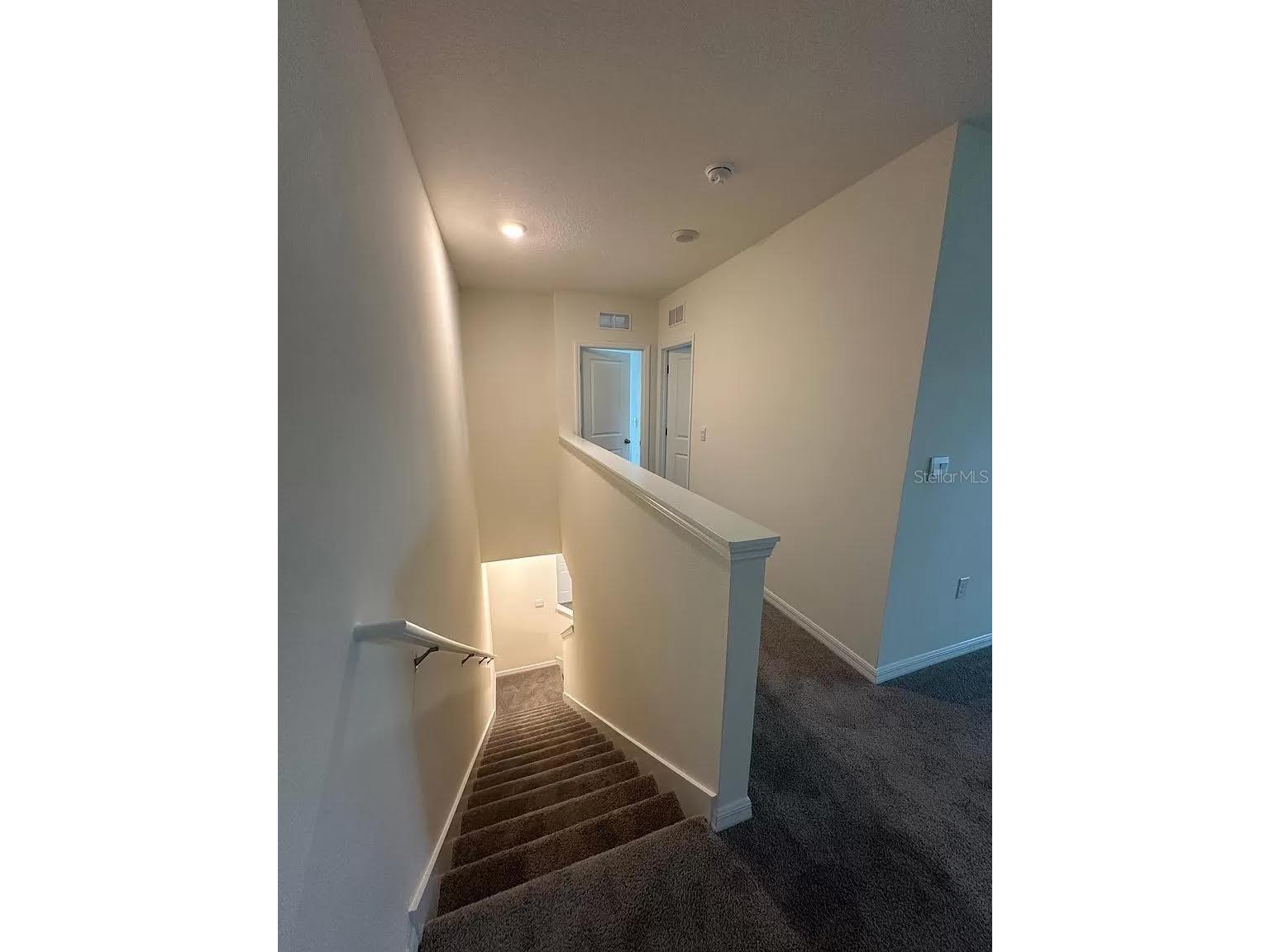 299 Mangrove Shade Circle Apollo Beach FL 33572 TB8488602 image26