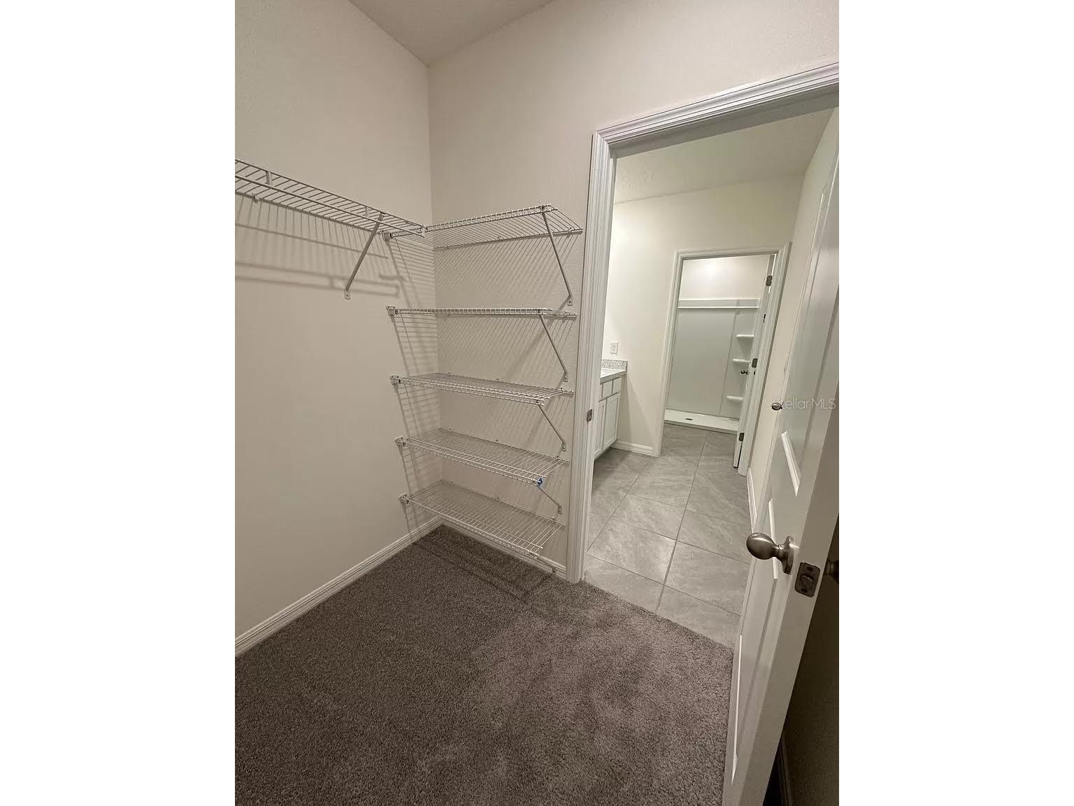 299 Mangrove Shade Circle Apollo Beach FL 33572 TB8488602 image7