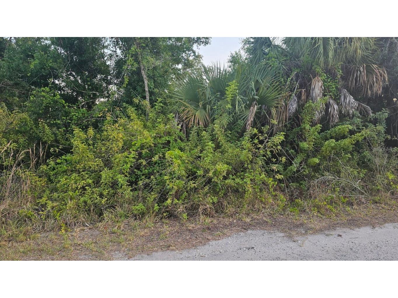 299 Popayan Street Punta Gorda FL 33983 C7493283 image1