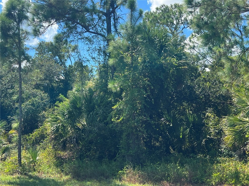 299 Troutdale Street Port Charlotte FL 33954 A4665470 image1