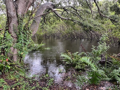 2990 Longbrooke Way Clearwater FL 33760 - LONGBRANCH PRESERVE TB8392930 image3