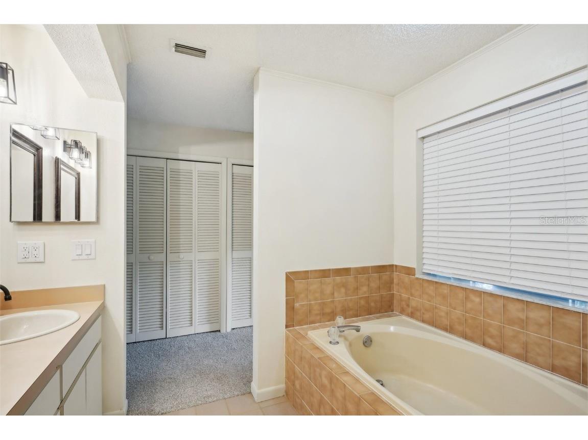 2990 Longbrooke Way Clearwater FL 33760 - LONGBRANCH PRESERVE TB8392930 image31