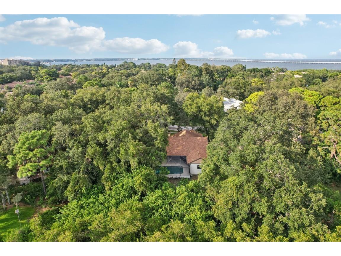 2990 Longbrooke Way Clearwater FL 33760 - LONGBRANCH PRESERVE TB8392930 image32