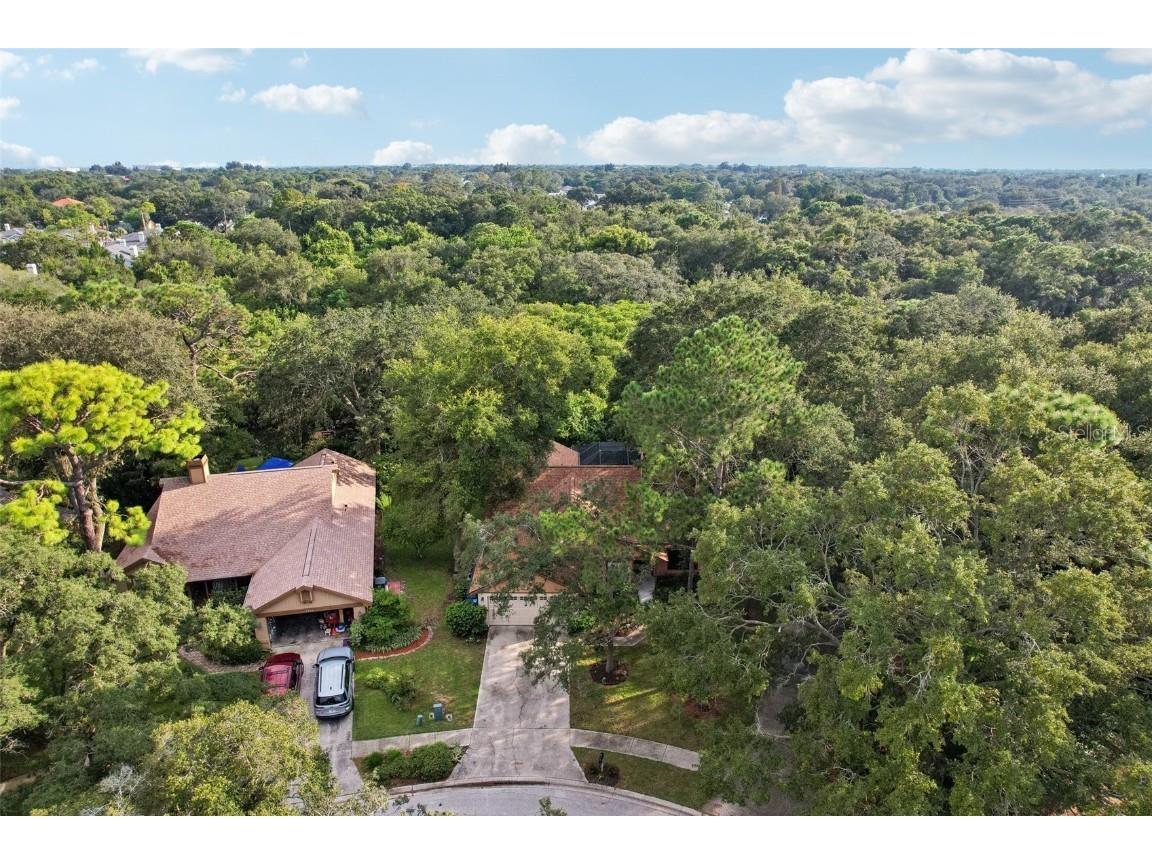 2990 Longbrooke Way Clearwater FL 33760 - LONGBRANCH PRESERVE TB8392930 image35