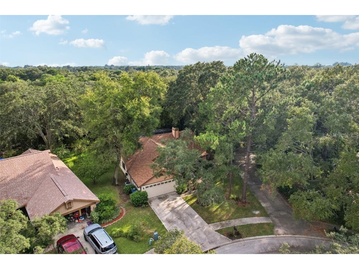 2990 Longbrooke Way Clearwater FL 33760 - LONGBRANCH PRESERVE TB8392930 image39