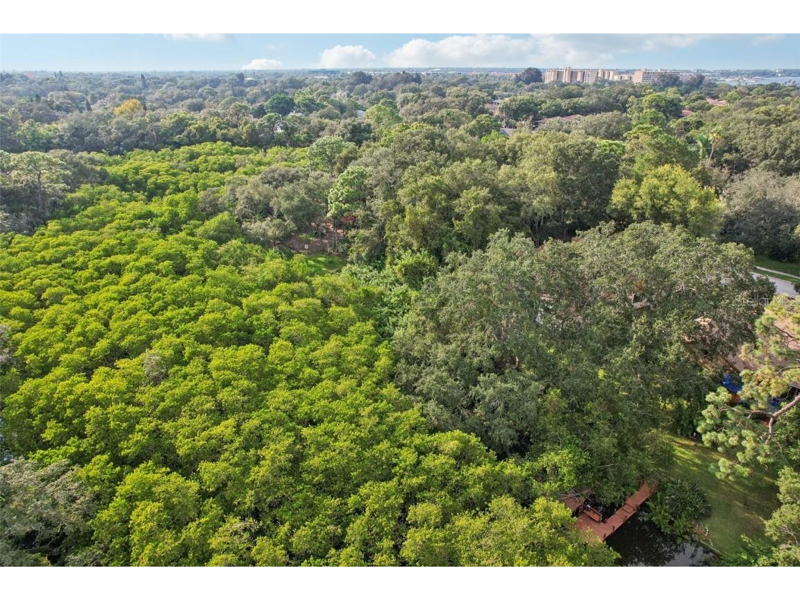 2990 Longbrooke Way Clearwater FL 33760 - LONGBRANCH PRESERVE TB8392930 image40